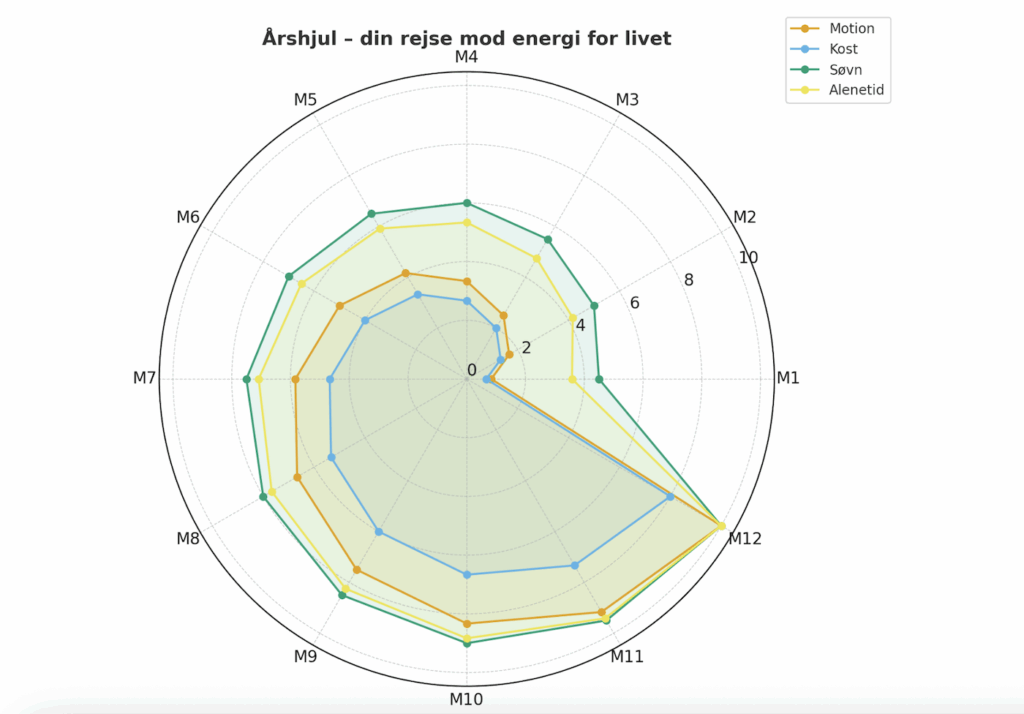 Udvikling energi for livet – en 12-måneders rejse