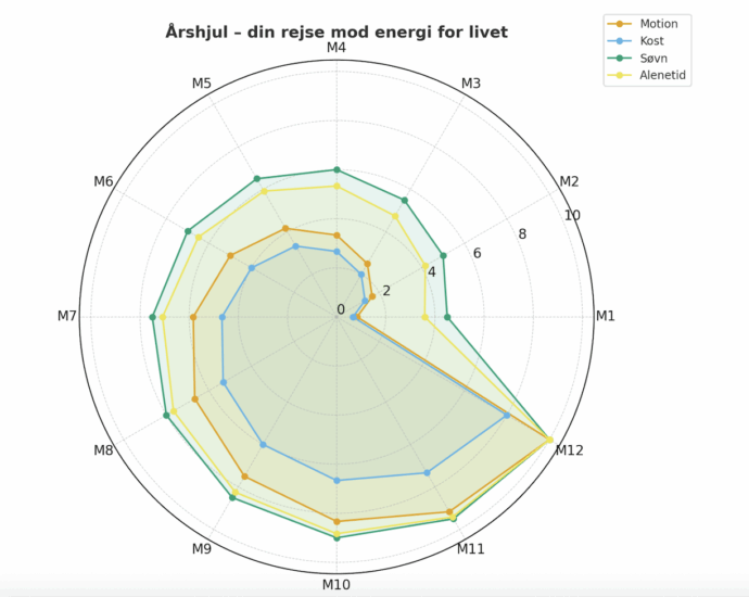 Udvikling energi for livet – en 12-måneders rejse